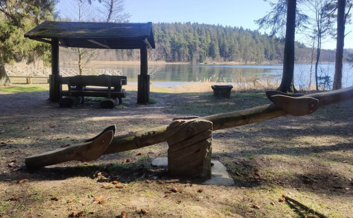 19_Šilelio stovyklavaitė 1 (1).jpg